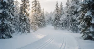 Online auf Biathlon wetten 2026: Anbieter, Wettarten und Regeln